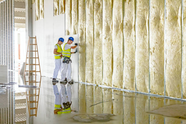 Best Insulation Installation Services in Wytheville, VA